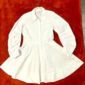 Banana Republic Dress/ Blouse